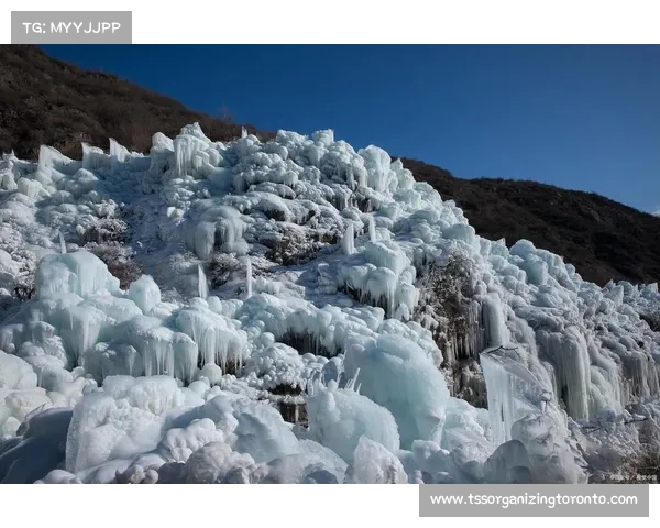 旅游卫视精彩直播全程跟踪带你领略全球美景与文化魅力 旅游卫视精彩直播全程跟踪带你领略全球美景与文化魅力